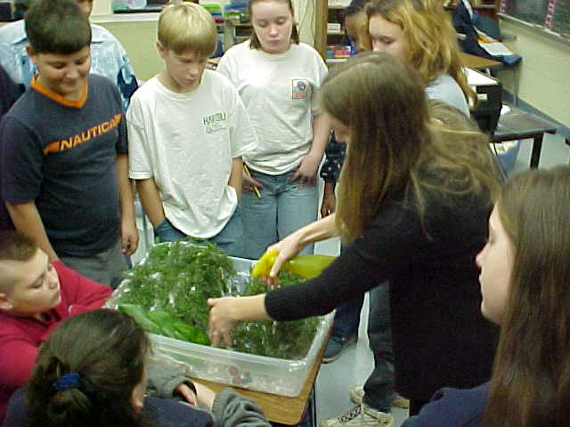 A demonstration to middle school students in Greene County, Virginia of how water travels throughout a watershed using a selfmade watershed model. 
