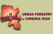 VT Urban Forestry
