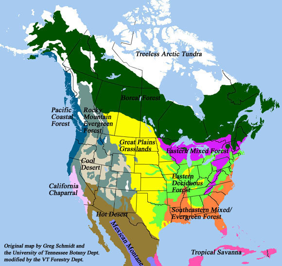 Map Of Biomes In The Us - Sean Demetra