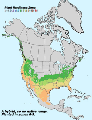 Virginia Tech Dendrology Fact Sheet