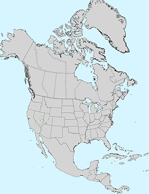 Virginia Tech Dendrology Fact Sheet