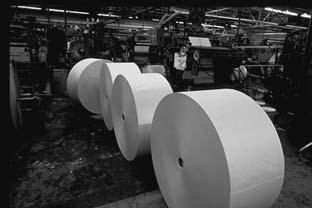 Pictorial of the Paper Making Process