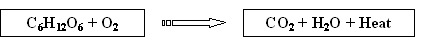 Combustion / Respiration Equation