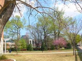 Springtime at Monarch Gardens