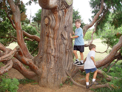 Maymont Park and Arboretum