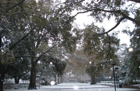 Snowfall on the Williamsburg Lawn