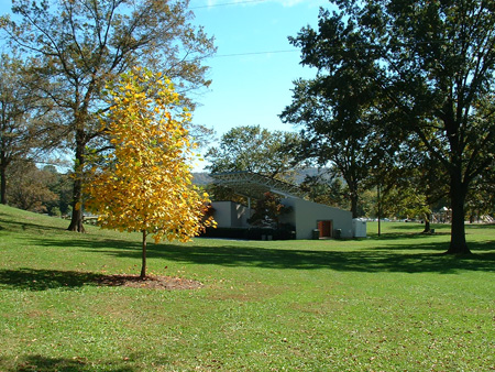 Ridgeview Park Trees